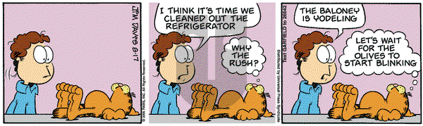 Garfield on Thursday August 17, 2006 Comic Strip