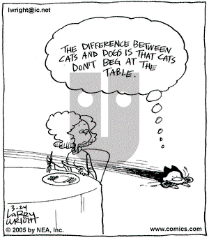 Kit 'N' Carlyle on Thursday March 24, 2005 Comic Strip