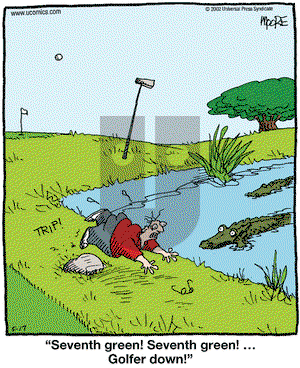 In the Bleachers on Friday May 17, 2002 Comic Strip