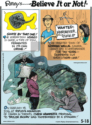 Ripley's Believe It or Not on Wednesday May 18, 2016 Comic Strip