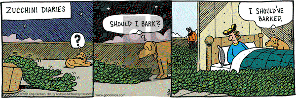 Overboard on Friday September 24, 2021 Comic Strip
