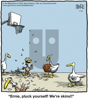 In the Bleachers on Wednesday January 14, 2015 Comic Strip