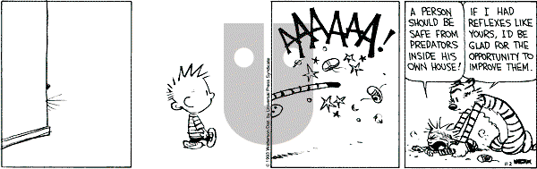 Calvin and Hobbes - Tuesday November 2, 1993 Comic Strip