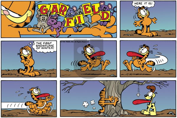 Garfield on Sunday January 7, 1996 Comic Strip