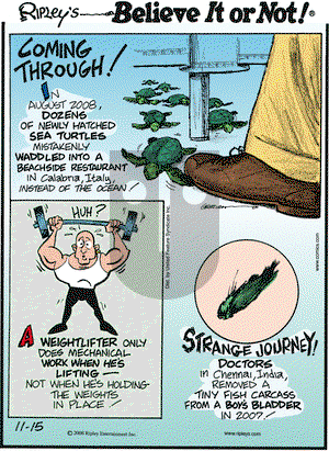 Ripley's Believe It or Not on Saturday November 15, 2008 Comic Strip