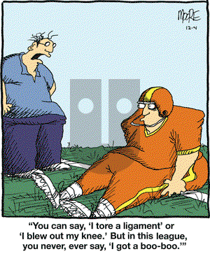 In the Bleachers on Friday December 4, 2009 Comic Strip