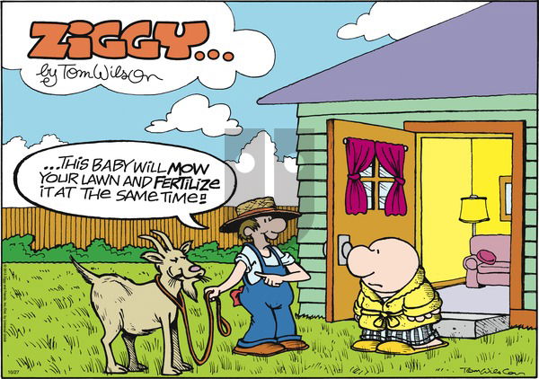 Ziggy on Sunday October 27, 2013 Comic Strip