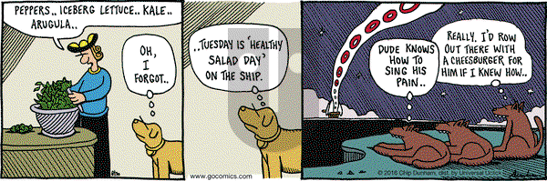 Overboard on Tuesday August 30, 2016 Comic Strip