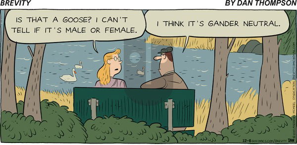Brevity on Sunday December 6, 2020 Comic Strip