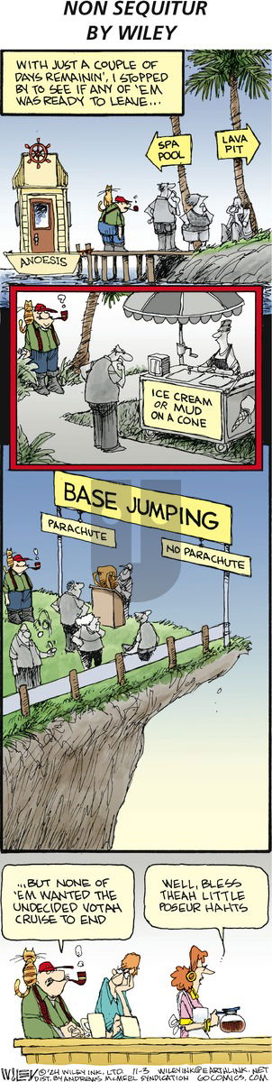 Non Sequitur - Sunday November 3, 2024 Comic Strip