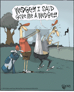 The Flying McCoys - Saturday June 26, 2010 Comic Strip
