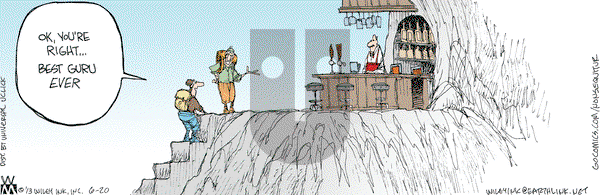 Non Sequitur on Thursday June 20, 2013 Comic Strip