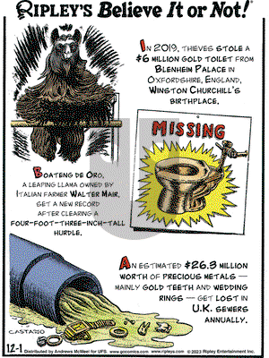 Ripley's Believe It or Not - Friday December 1, 2023 Comic Strip