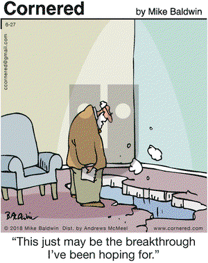 Cornered on Wednesday June 27, 2018 Comic Strip