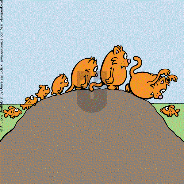 Learn to Speak Cat on Tuesday May 13, 2025 Comic Strip