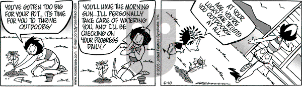 Rose is Rose on Sunday June 12, 2005 Comic Strip