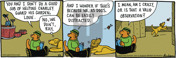 Overboard on Saturday April 5, 2025 Comic Strip