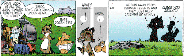 Over the Hedge on Monday November 20, 2017 Comic Strip