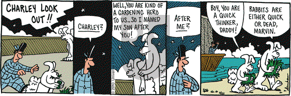 Overboard on Saturday September 25, 2010 Comic Strip