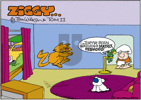 Ziggy - Sunday May 23, 2004 Comic Strip