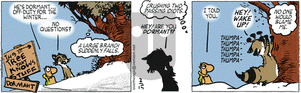 Over the Hedge on Wednesday February 15, 2012 Comic Strip