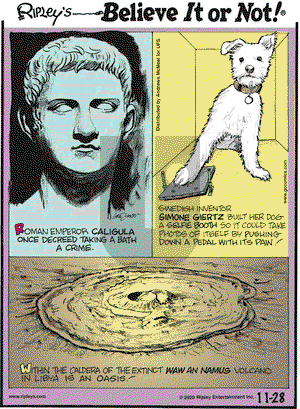 Ripley's Believe It or Not on Saturday November 28, 2020 Comic Strip