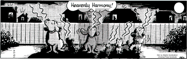 Fred Basset on Wednesday October 24, 2007 Comic Strip