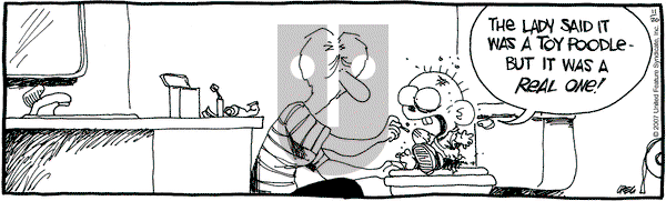 The Buckets on Tuesday November 20, 2007 Comic Strip