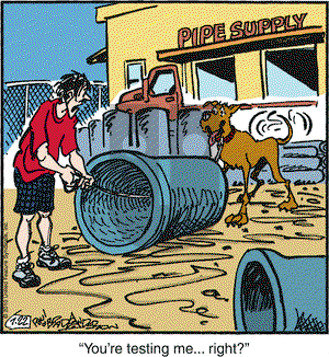 Marmaduke - Thursday July 22, 2010 Comic Strip