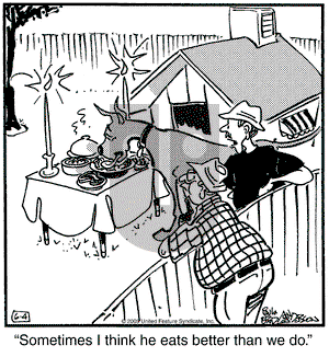 Marmaduke on Saturday June 4, 2005 Comic Strip