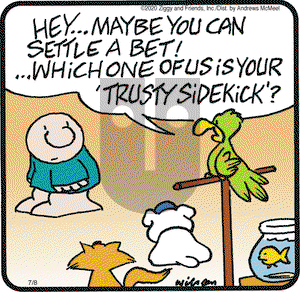 Ziggy on Wednesday July 8, 2020 Comic Strip