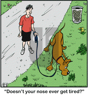 Marmaduke on Tuesday August 4, 2020 Comic Strip