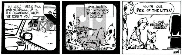 Buckles - Tuesday October 8, 2024 Comic Strip