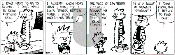 Calvin and Hobbes on Tuesday January 5, 1993 Comic Strip