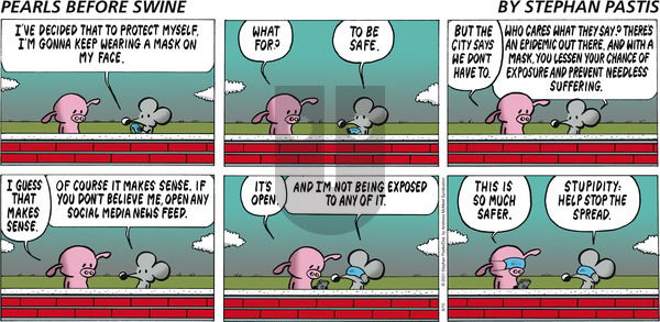 Pearls Before Swine - Sunday August 15, 2021 Comic Strip