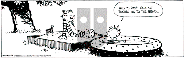Calvin and Hobbes on Monday August 23, 1993 Comic Strip