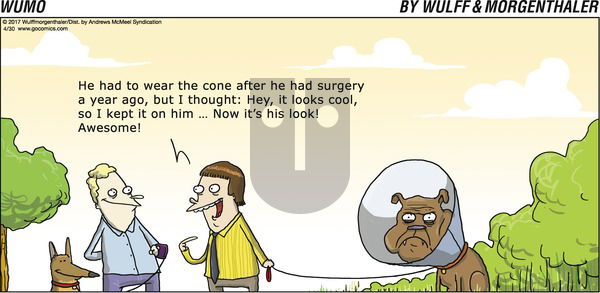 WuMo on Sunday April 30, 2017 Comic Strip