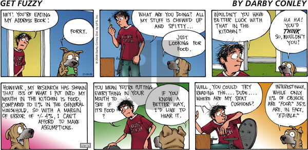 Get Fuzzy on Sunday February 10, 2008 Comic Strip