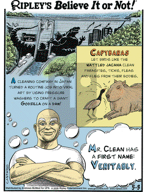 Ripley's Believe It or Not on Saturday May 3, 2025 Comic Strip