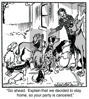 Marmaduke on Thursday February 15, 2007 Comic Strip