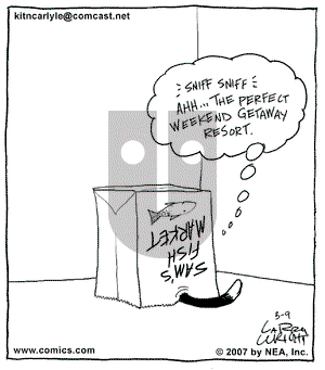 Kit 'N' Carlyle on Friday March 9, 2007 Comic Strip