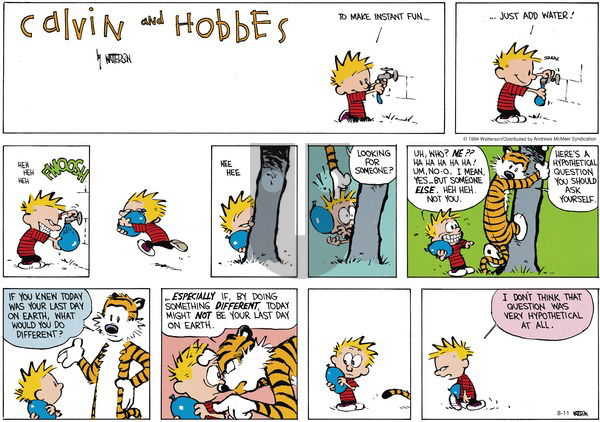 Calvin and Hobbes - Sunday August 11, 2024 Comic Strip