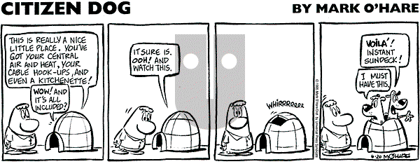 Citizen Dog on Tuesday June 3, 2025 Comic Strip