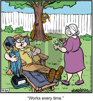 Marmaduke on Tuesday October 25, 2011 Comic Strip