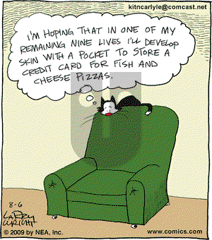 Kit 'N' Carlyle on Thursday August 6, 2009 Comic Strip