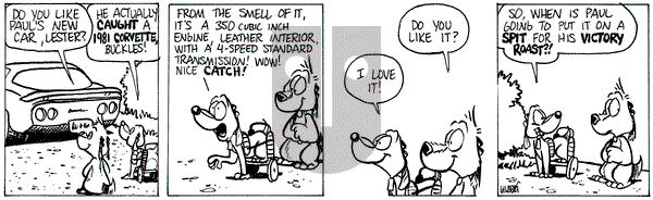 Buckles on Wednesday June 11, 2025 Comic Strip