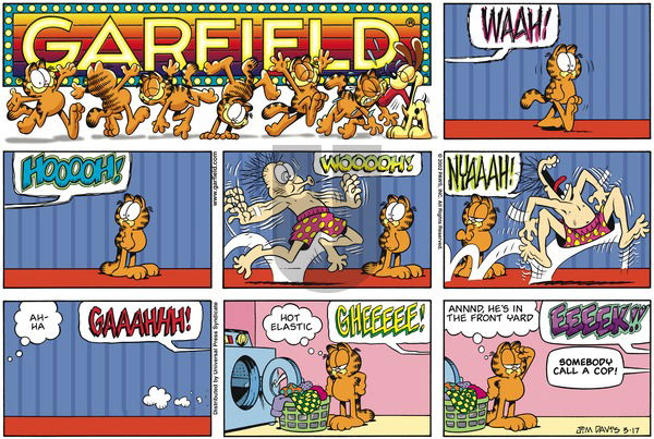 Garfield on Sunday March 17, 2002 Comic Strip