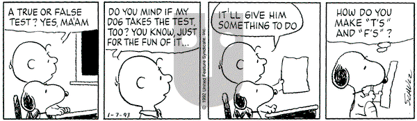 Peanuts on Thursday January 7, 1993 Comic Strip