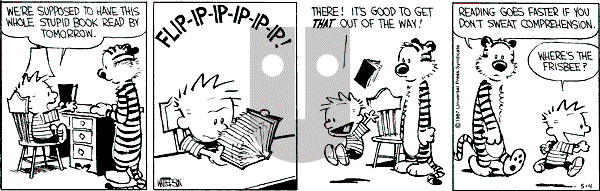 Calvin and Hobbes - Monday May 4, 1987 Comic Strip