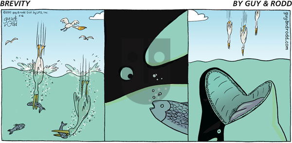 Brevity on Sunday May 16, 2010 Comic Strip